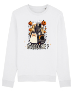 Pampsy - boogie Bluză mânecă lungă Unisex Rise
