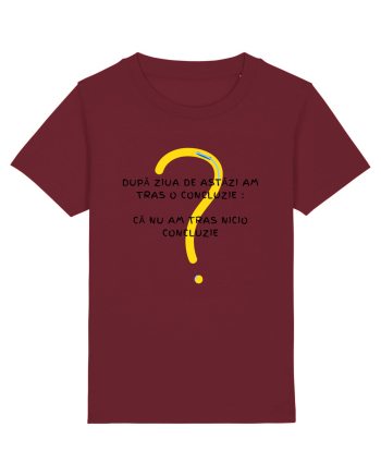 AM TRAS O CONCLUZIE Burgundy