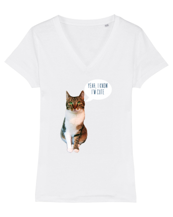 Cute Cat message White