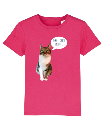 Cute Cat message Raspberry
