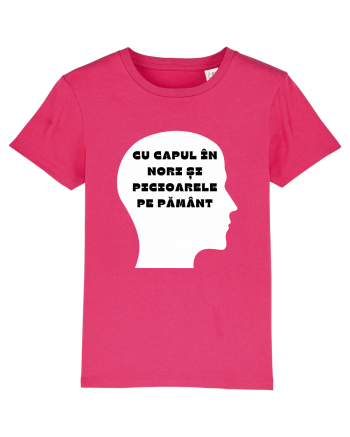 CU CAPUL ÎN NORI Raspberry