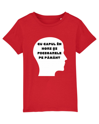 CU CAPUL ÎN NORI Red