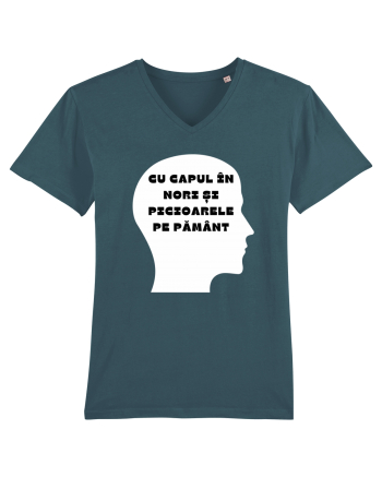 CU CAPUL ÎN NORI Stargazer