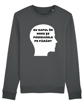 CU CAPUL ÎN NORI Anthracite