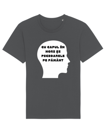 CU CAPUL ÎN NORI Anthracite