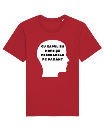 CU CAPUL ÎN NORI Red