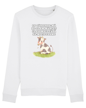 AM MÂNCAT 15 SARMALE White