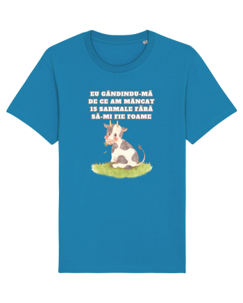 AM MÂNCAT 15 SARMALE Azur