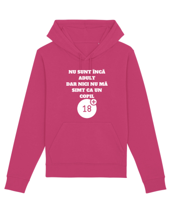 NU SUNT ÎNCĂ ADULT Raspberry