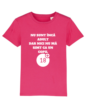 NU SUNT ÎNCĂ ADULT Raspberry