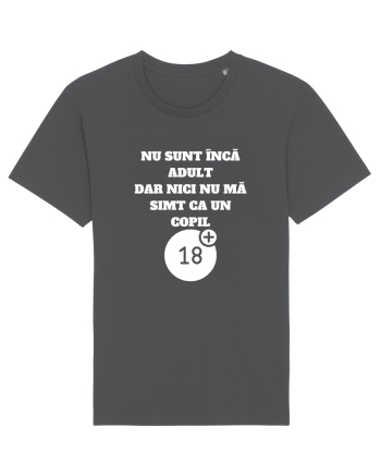 NU SUNT ÎNCĂ ADULT Anthracite
