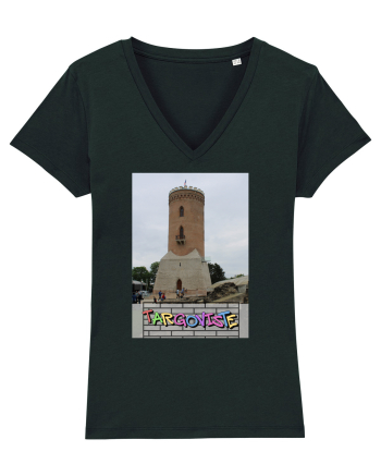 Targoviste Turnul Chindia Black