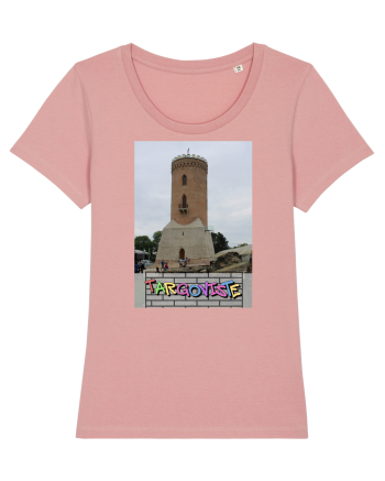 Targoviste Turnul Chindia Canyon Pink