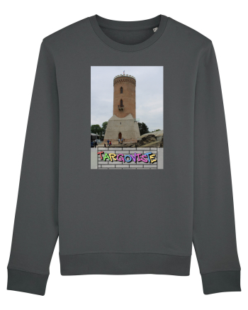 Targoviste Turnul Chindia Anthracite