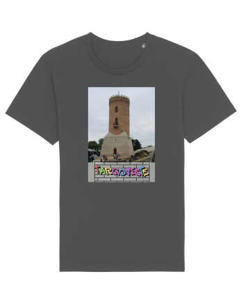 Targoviste Turnul Chindia Anthracite