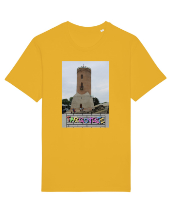 Targoviste Turnul Chindia Spectra Yellow