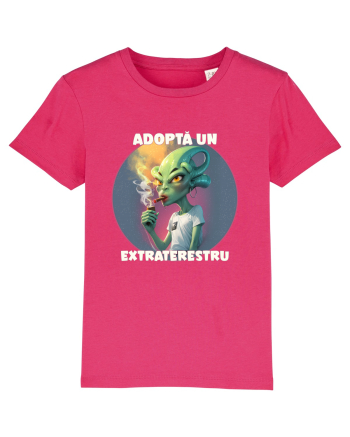 Adoptă un extraterestru Raspberry