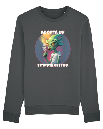 Adoptă un extraterestru Anthracite