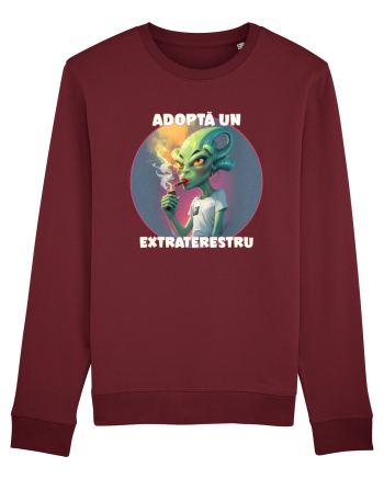 Adoptă un extraterestru Burgundy