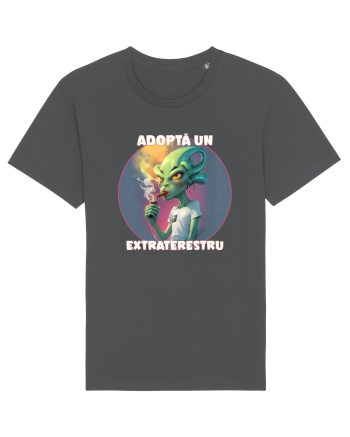 Adoptă un extraterestru Anthracite