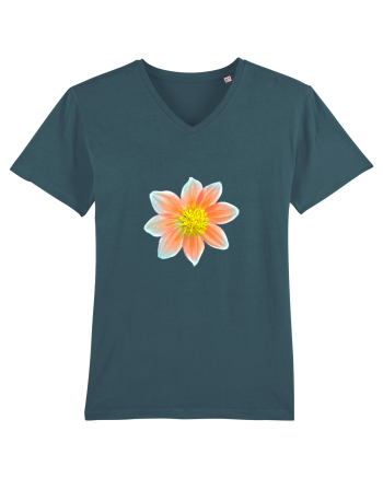 Floare desen Stargazer