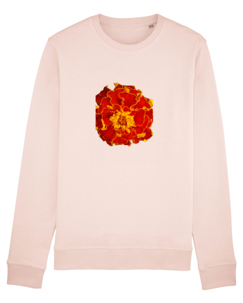 Floare rosie Candy Pink