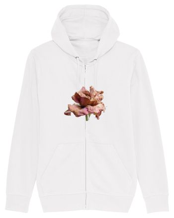 Trandafir ofilit White