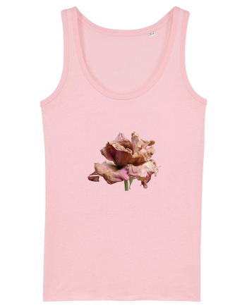 Trandafir ofilit Cotton Pink