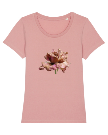 Trandafir ofilit Canyon Pink