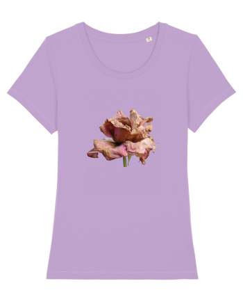 Trandafir ofilit Lavender Dawn