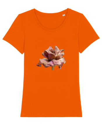 Trandafir ofilit Bright Orange