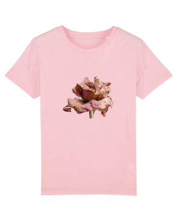 Trandafir ofilit Cotton Pink
