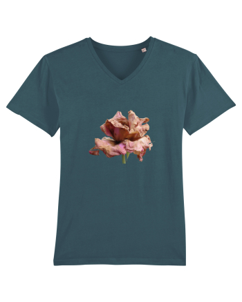 Trandafir ofilit Stargazer