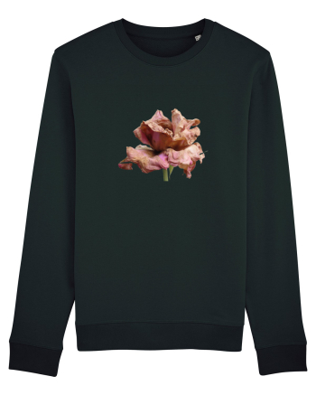 Trandafir ofilit Black