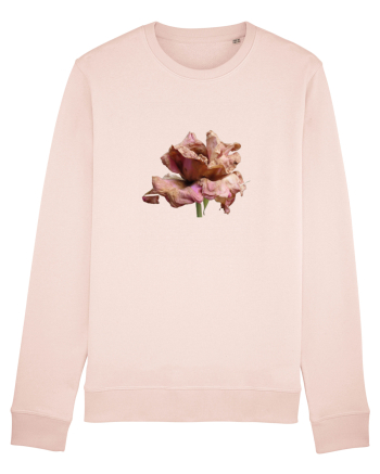 Trandafir ofilit Candy Pink