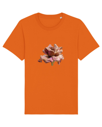 Trandafir ofilit Bright Orange