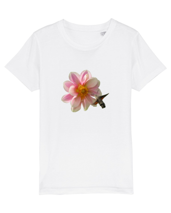 Floare si fluture White