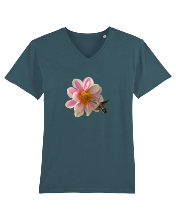 Floare si fluture Stargazer