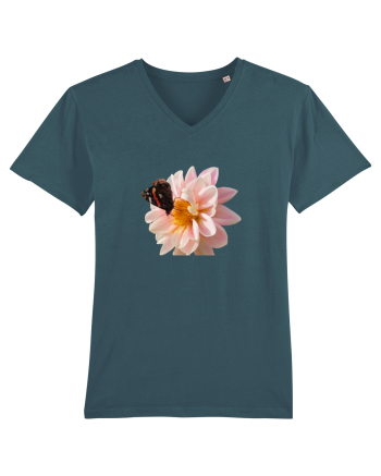 Floare si fluture colorat Stargazer