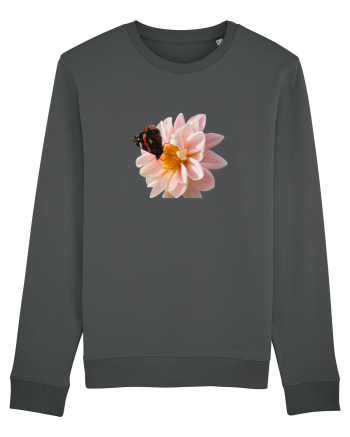 Floare si fluture colorat Anthracite