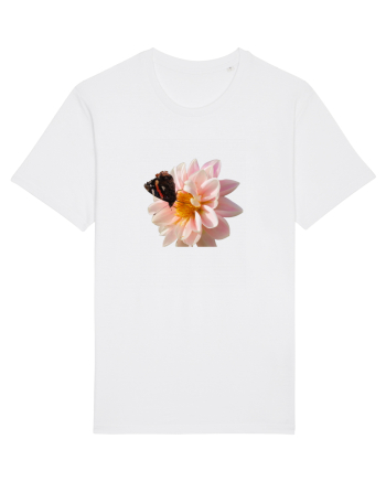 Floare si fluture colorat White