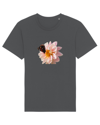 Floare si fluture colorat Anthracite