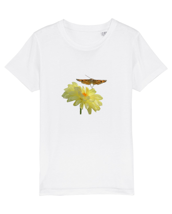 Floare si fluture in zbor White