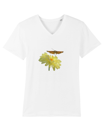 Floare si fluture in zbor White