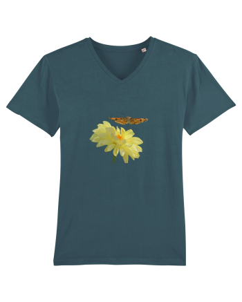 Floare si fluture in zbor Stargazer