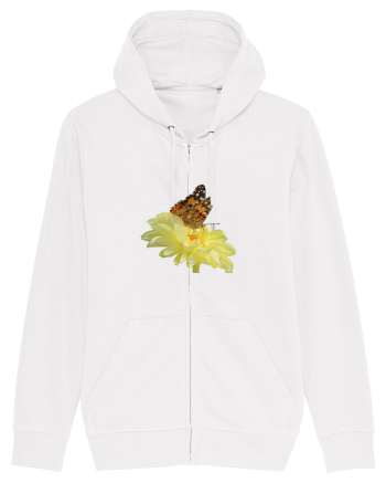 Un fluture si o floare White