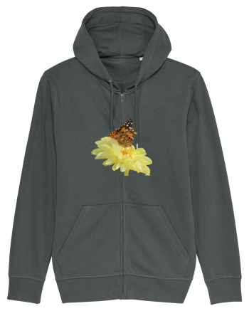 Un fluture si o floare Anthracite