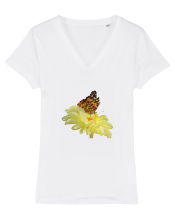 Un fluture si o floare White