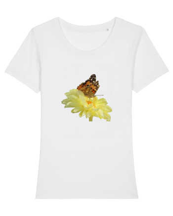 Un fluture si o floare White