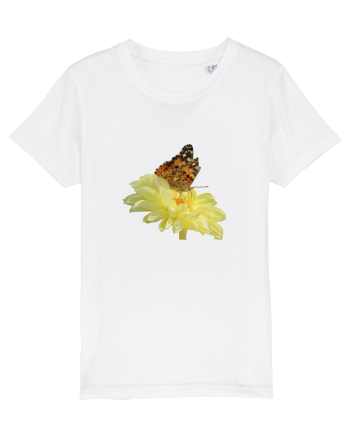 Un fluture si o floare White